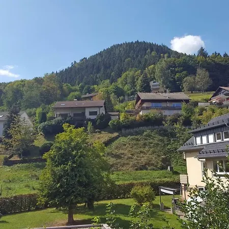 Lejlighed Ferienwohnung Am Kurpark Bad Wildbad