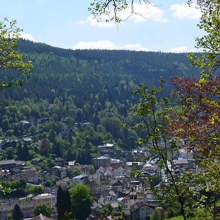 Ferienwohnung Am Kurpark Lejlighed Bad Wildbad