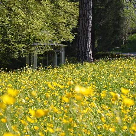Ferienwohnung Am Kurpark Lejlighed *