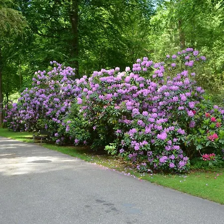 Apartment Ferienwohnung Am Kurpark