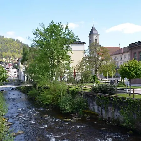 Lejlighed Ferienwohnung Am Kurpark Bad Wildbad
