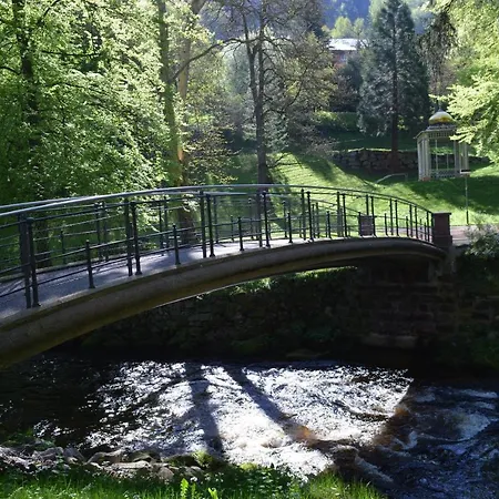 Lejlighed Ferienwohnung Am Kurpark